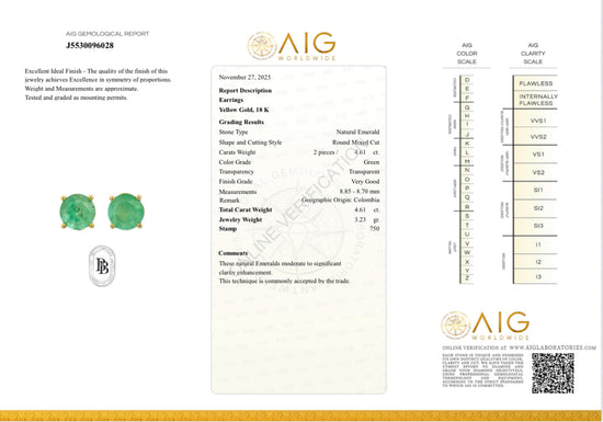 Orecchini con smeraldo 4.61