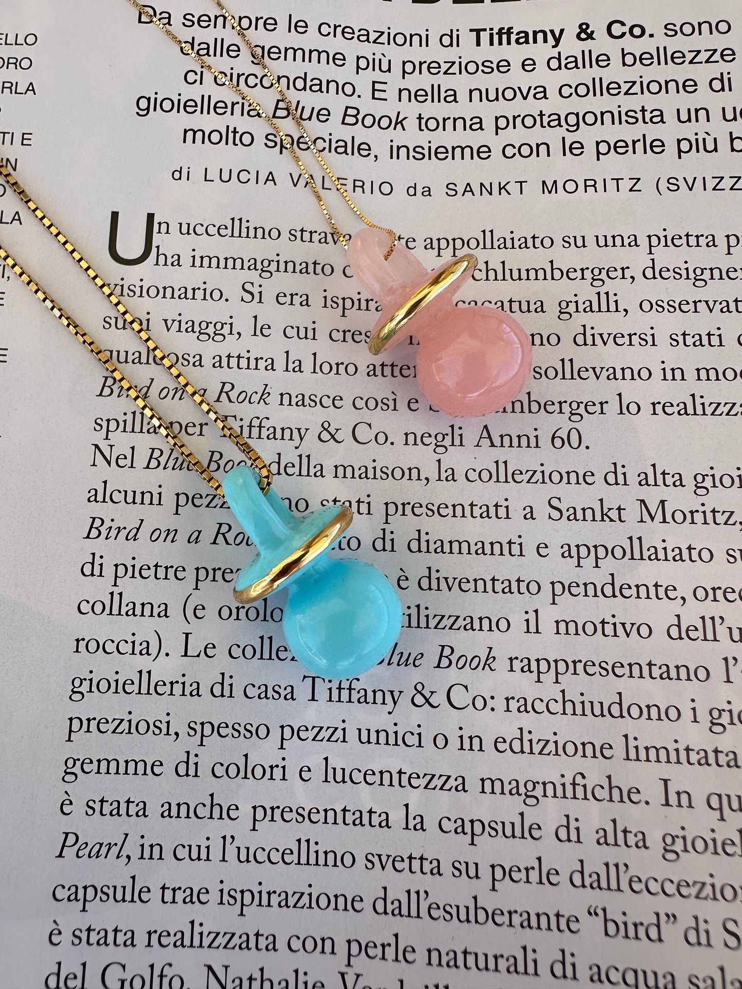 Ciuccio